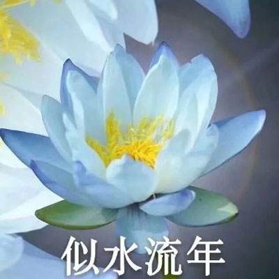 2024海峡两岸共祭伏羲典礼在台湾新北举行
